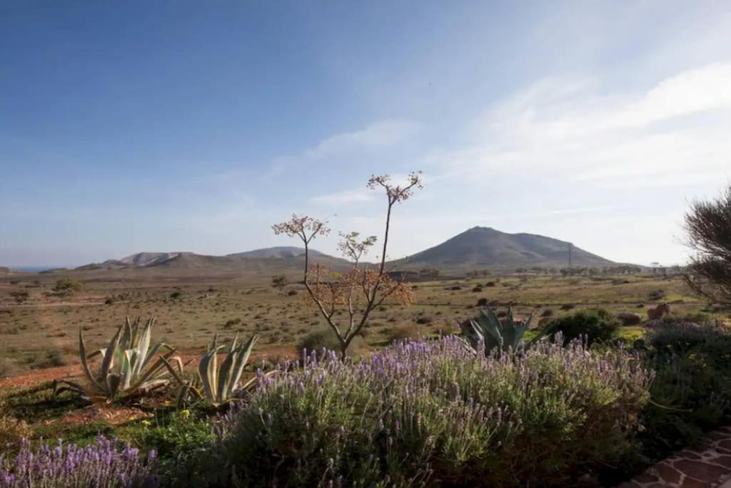 El Risco Colorado, Cabo De Gata Villa Rodalquilar Exterior foto